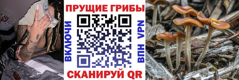купить наркотики сайты  Пикалёво  блэк спрут онион  Галлюциногенные грибы мухоморы 